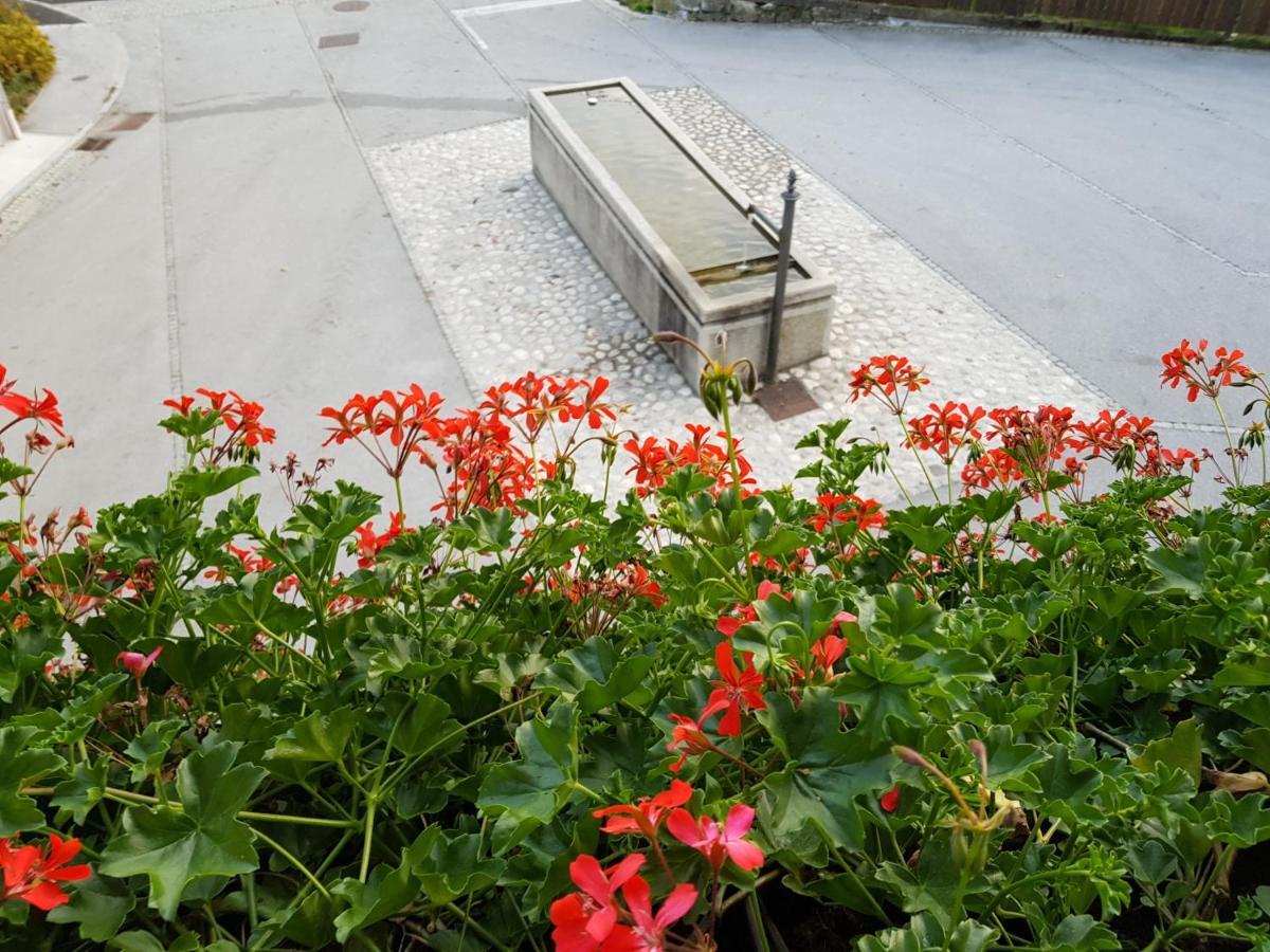 Apartments Gregorc Bled Bagian luar foto