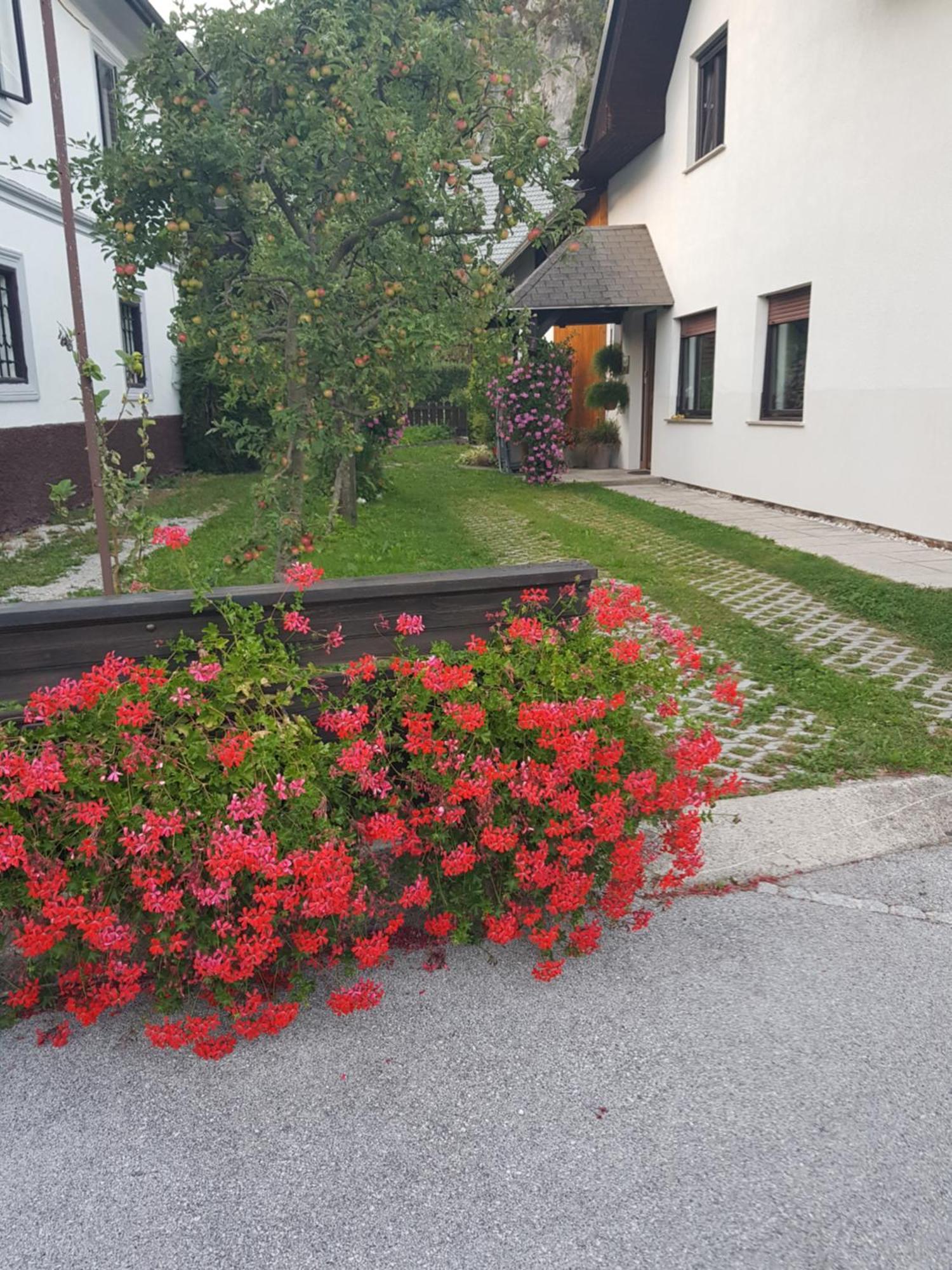 Apartments Gregorc Bled Bagian luar foto